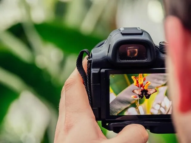 Wie fotografiere ich richtig mit einer Kamera?