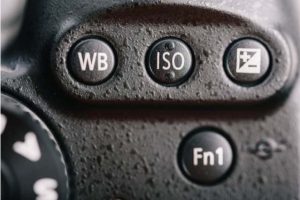ISO beim digitalen Fotografieren